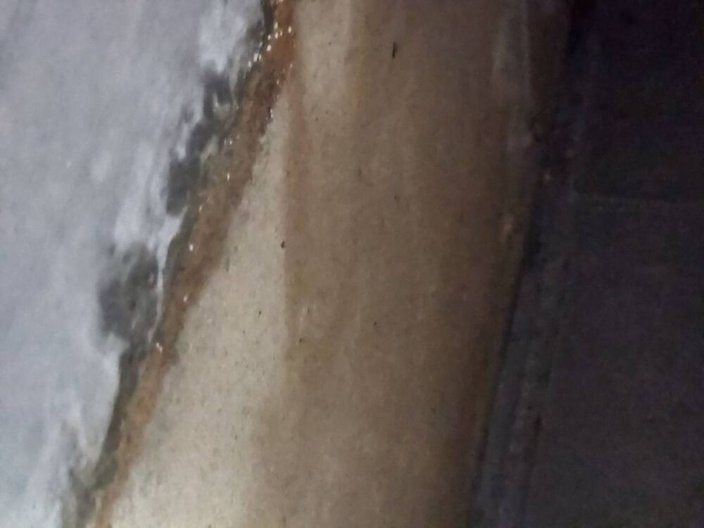벽면에 남은 누수 얼룩 클로즈업